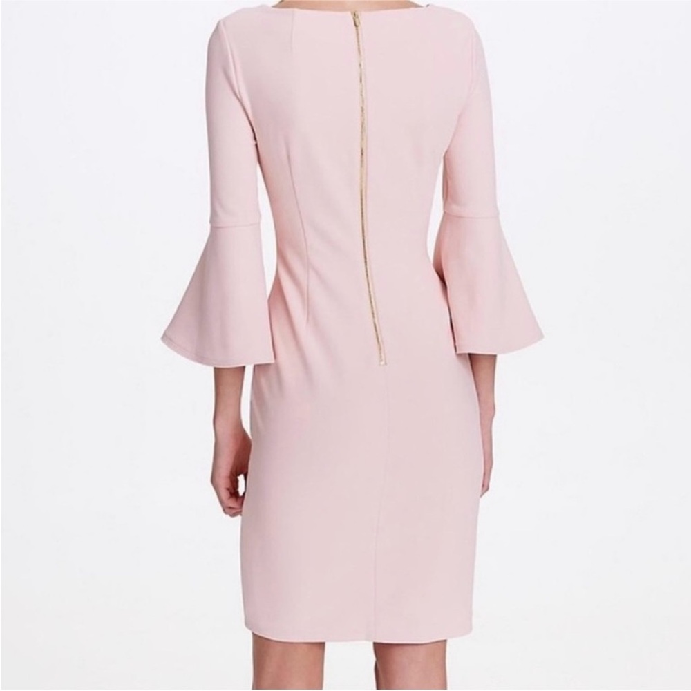 Elegant Pink Flare Sleeve Dress